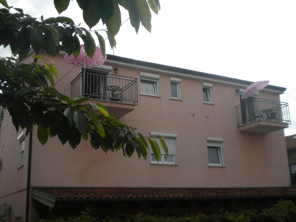Apartments Miani Novigrad  Екстер'єр фото