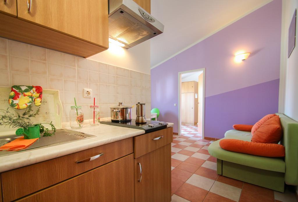 Apartments Miani Novigrad  Екстер'єр фото